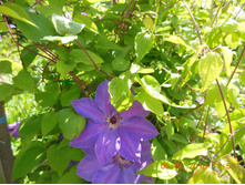 DSCN2116.JPG