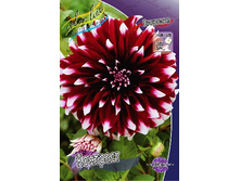 92,9���. �������� ��������(�������� ���� �� 1 ��., ����������� ����� 1��.).jpg