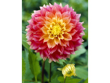 94,6���. �������� ������ ������(�������� ���� �� 1 ��., ����������� ����� 1��.)���17.jpg