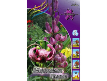 260,25���. ����� �������� ����.jpg