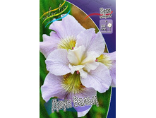 82,9���. ���� ��������� ���� �����(�������� ���� �� 2 ��., ����������� ����� 1��.).jpg