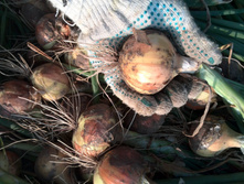 IMG 20160730 175555.jpg