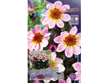 92,9���. �������� �������� ���(�������� ���� �� 1 ��., ����������� ����� 1��.).jpg