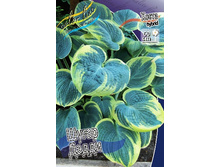 124,7���. ����� ����� �����(�������� ���� �� 1 ��., ����������� ����� 1��.).jpg