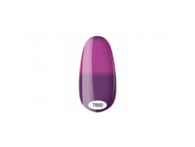 �650.png