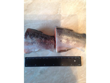 �������� ���� � ������