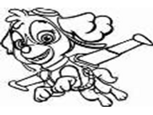Image581.png