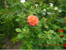 DSCN2161.JPG
