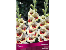 ��������� ������� �������.jpg