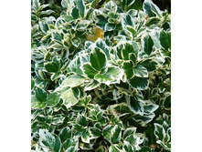 112���. ��������� ������� �������� �����.jpg