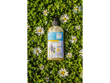 ����������� ���� ��� ���� "��������", 282,7