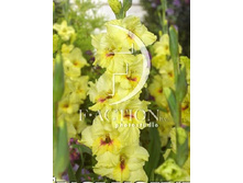 12,03���. ��������� �������(���������� �� ����� �������� �� 7��.)���17.jpg