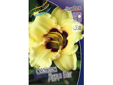 95,55���. �������� ������ ���� ���(�������� ���� �� 2 ��., ����������� ����� 1��.).jpg