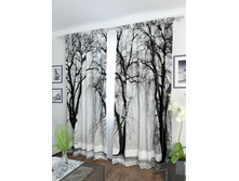 ������ �������.jpg