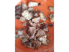 ����� ���� �� �������2.jpeg