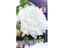 456,4���. ���� ���� ���� �������(�������� ���� �� 1 ��., ����������� ����� 1��.).jpg