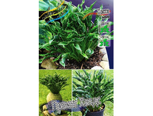 156,3���. ����� ������ �����(�������� ���� �� 1 ��., ����������� ����� 1��.).jpg