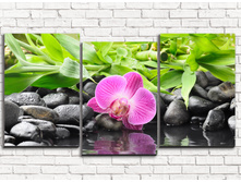 ������������ ������� 3-1.jpg