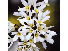 157���. ������������� ��������� �����.jpg