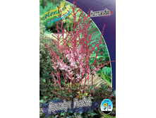 122,4���. �������� ����� ����(�������� ���� �� 2 ��., ����������� ����� 1��.).jpg