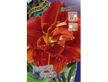 180���. �������� ������� �����(�������� ���� �� 1 ��., ����������� ����� 1��.).jpg