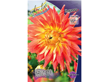 70,7���. �������� �����(�������� ���� �� 1 ��., ����������� ����� 1��.).jpg