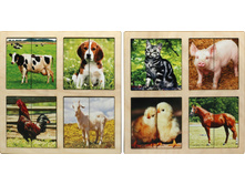 �018 ��������-��������� �������� �������� (2 ��������) - 229 ���