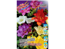 6���. ������ �����, ������.(���������� ������ ������ ���������� �� 10 ��.).jpg