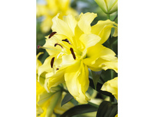 70,34���. ����� ����� �����(�������� ���� �� 5 ��., ����������� ����� 1��.).jpg