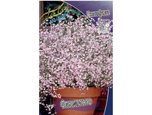 137,4���. ��������� ��������(�������� ���� �� 1 ��., ����������� ����� 1��.).jpg