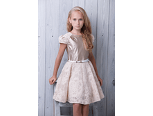 ������ 1113