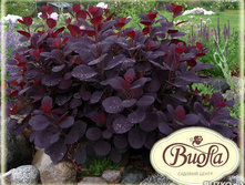 170���. ������� ���������� ����� �����.jpg