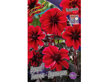 94,6���. �������� ���� ����� - �������(�������� ���� �� 1 ��., ����������� ����� 1��.).jpg