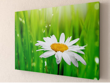 ������� 1-1.jpg