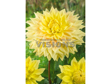 82,7���. �������� ������(�������� ���� �� 1 ��., ����������� ����� 1��.)���16.jpg