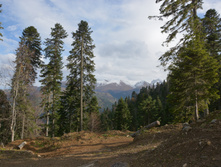 DSC 7484.JPG