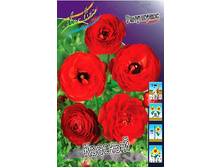 8,84���. ���������� �������(���������� ������ ������ ���������� �� 10 ��.).jpg