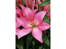 19,74���. ����� ���������(��� 7 ��. ���������� �� 2��.)���16.jpg