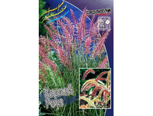 125,55���. ���������� ������ ����(�������� ���� �� 2 ��., ����������� ����� 1��.).jpg