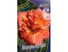 172,1���. �������� ������ �� ���(�������� ���� �� 1 ��., ����������� ����� 1��.).jpg