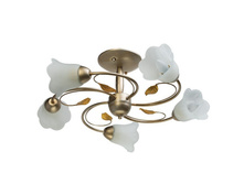 323012005 2700�.jpg