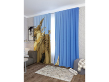 ������� �������.jpg