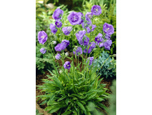 151,6���. ����������� ���� �����(�������� ���� �� 1 ��., ����������� ����� 1��.).jpg