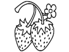 Image731.png