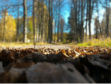 P 20161002 110202 DF.jpg