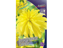 79,3���. �������� ���������� ������(�������� ���� �� 1 ��., ����������� ����� 1��.).jpg