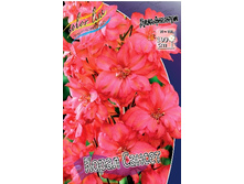 527,5���. ���������� ����� ������(�������� ���� �� 1 ��., ����������� ����� 1��.).jpg