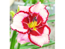 211,6���. �������� ���� ��� �������(�������� ���� �� 1 ��., ����������� ����� 1��.)���17.jpg