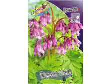 187,9���. �������� ������ ����(�������� ���� �� 1 ��., ����������� ����� 1��.).jpg