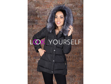 ������ (���. 8115) ����.jpg